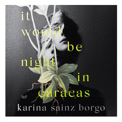 It Would Be Night in Caracas