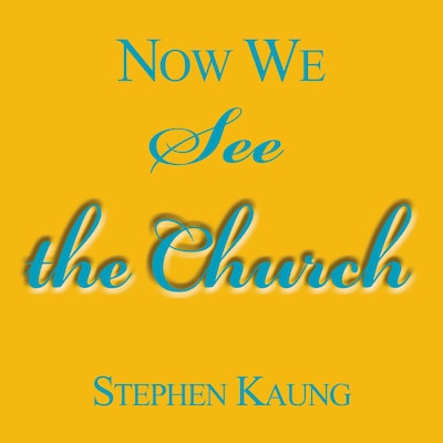 Now We See the Church