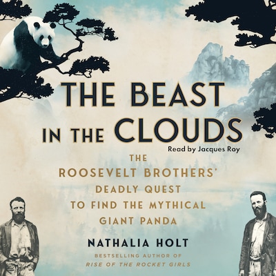 The Beast in the Clouds