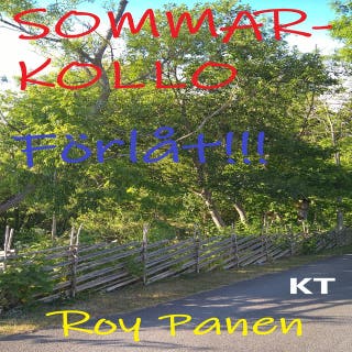 SOMMARKOLLO Förlåt!!! (homoversion) (kort text)