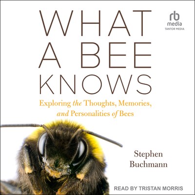 What a Bee Knows – omslag til lydbogen af Stephen Buchmann
