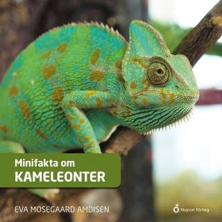 Minifakta om kameleonter