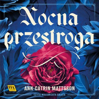 Nocna przestroga – okładka audiobooka, autor Ann-Catrin Mattsson