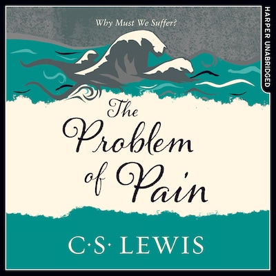 The Problem of Pain