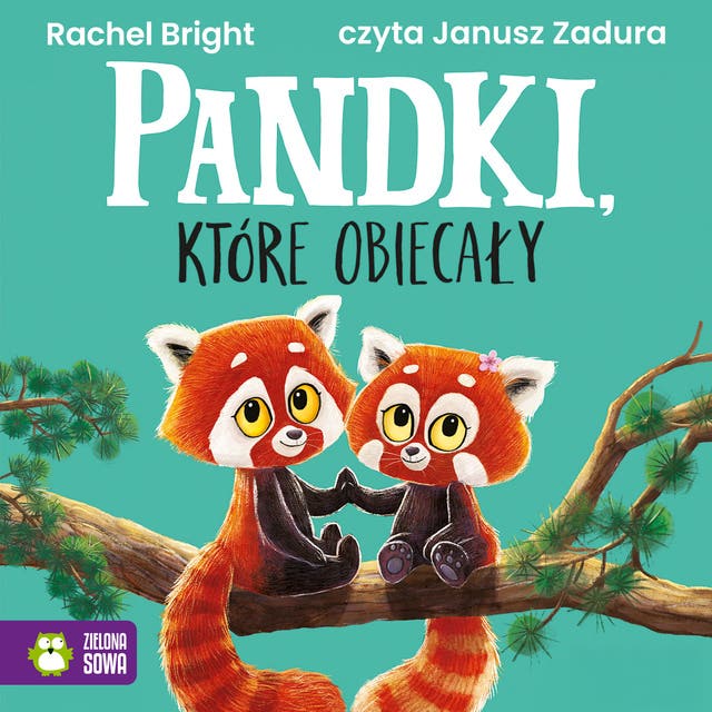 Pandki, które obiecały – okładka audiobooka, autor Rachel Bright