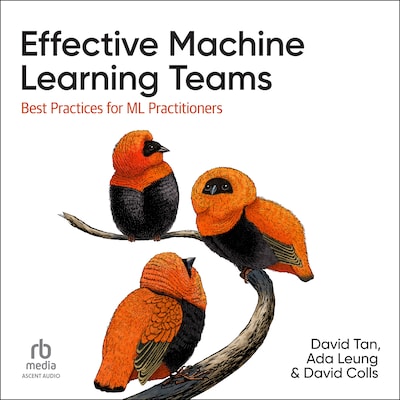 Effective Machine Learning Teams – omslag til lydbogen af David Tan, Ada Leung, David Colls