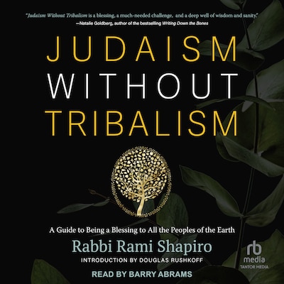 Judaism Without Tribalism – omslag til lydbogen af Rami Shapiro
