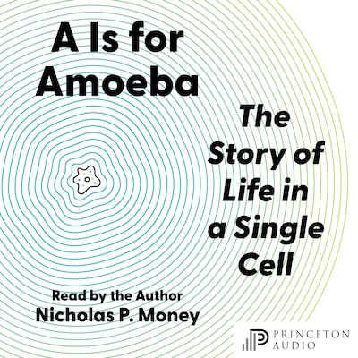 A Is for Amoeba