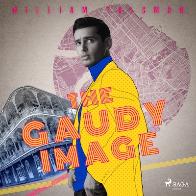 The Gaudy Image