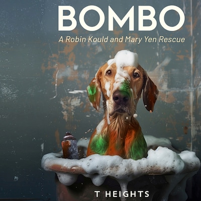Bombo – omslag til lydbogen af T Heights