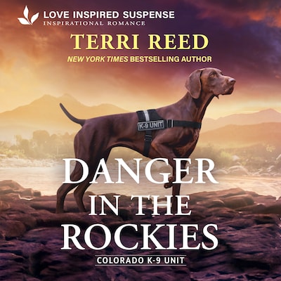 Danger in the Rockies – omslag til lydbogen af Terri Reed