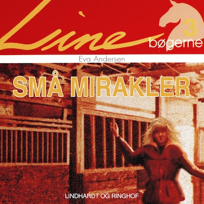 Små mirakler – omslag til lydbogen af Eva Andersen