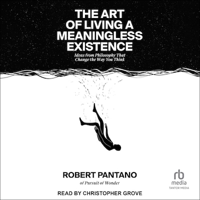 The Art of Living a Meaningless Existence – omslag til lydbogen af Robert Pantano