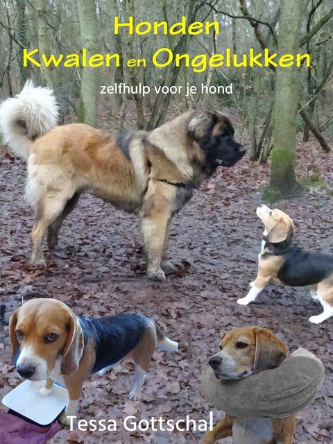 Honden kwalen en ongelukken: Zelfhulp voor je hond – omslag van het luisterboek van Tessa Gottschal