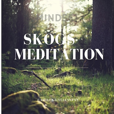 Skogsmeditation
