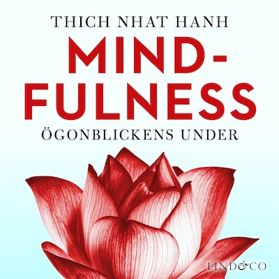 Mindfulness: Ögonblickens under