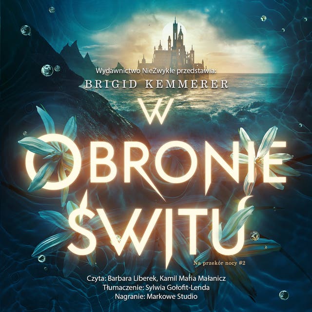 W obronie świtu – okładka audiobooka, autor Brigid Kemmerer