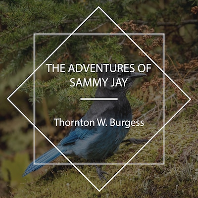 The Adventures of Sammy Jay – omslag til lydbogen af Thornton W. Burgess