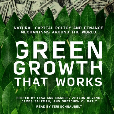 Green Growth That Works – omslag til lydbogen af Unknown Author