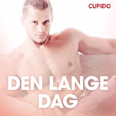 Den lange dag – erotiske noveller – omslag til lydbogen af Cupido