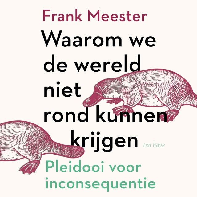 Waarom we de wereld niet rond kunnen krijgen: Pleidooi voor inconsequentie