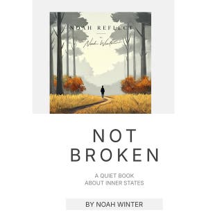 Not Broken: You Are Not What These States Say About You – omslag till ljudboken av Noah Winter