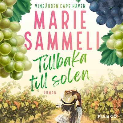 Tillbaka till solen
