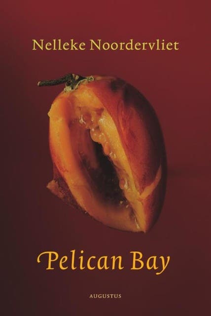 Pelican bay – omslag van het luisterboek van Nelleke Noordervliet