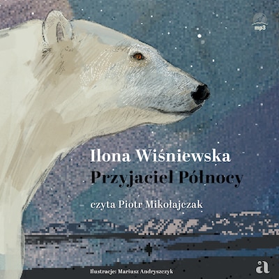 Przyjaciel Północy – okładka audiobooka, autor Wiśniewska Ilona