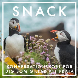 Snack