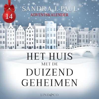 Het huis met de duizend geheimen (14)