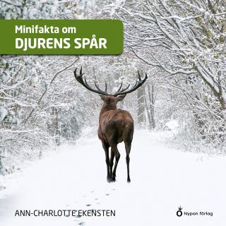 Minifakta om djurens spår