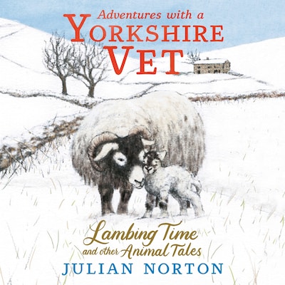 Adventures with a Yorkshire Vet – omslag til lydbogen af Julian Norton