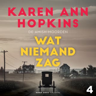 Wat niemand zag – omslag van het luisterboek van Karen Ann Hopkins