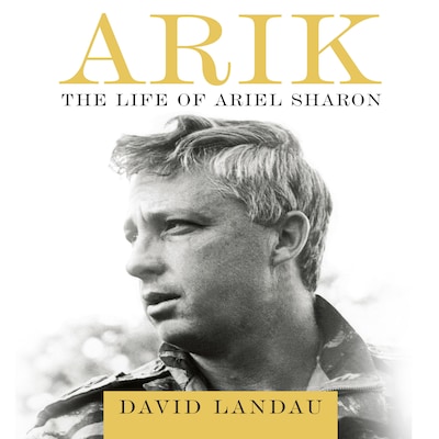 ARIK – omslag til lydbogen af David Landau