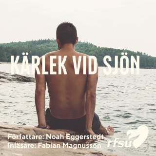 Kärlek vid sjön