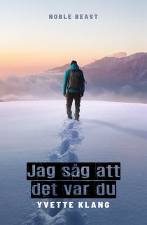Jag såg att det var du
