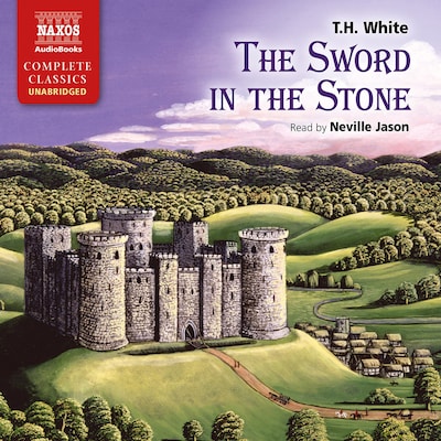 The Sword In The Stone