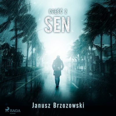 Sen – okładka audiobooka, autor Janusz Brzozowski