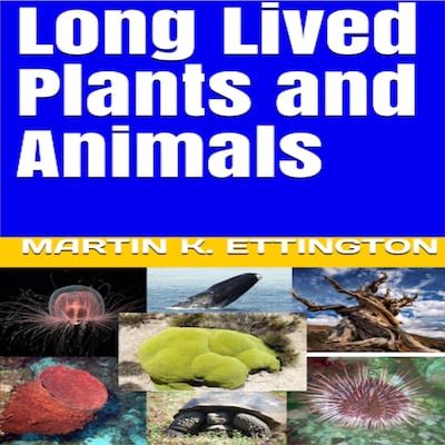 Long Lived Plants and Animals