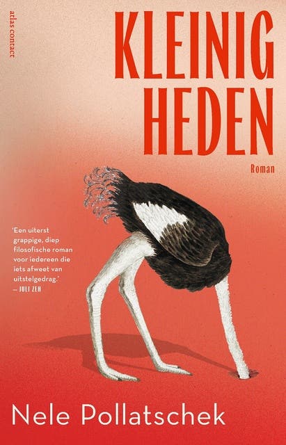 Kleinigheden – omslag van het luisterboek van Nele Pollatschek