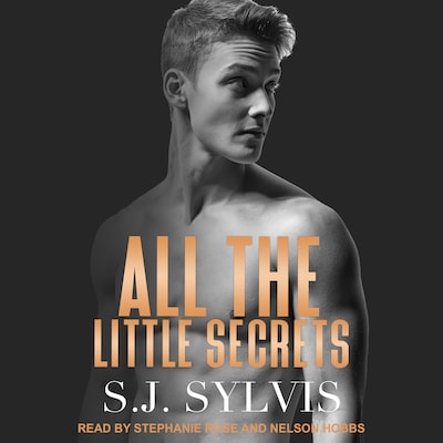 All the Little Secrets – omslag til lydbogen af S.J. Sylvis