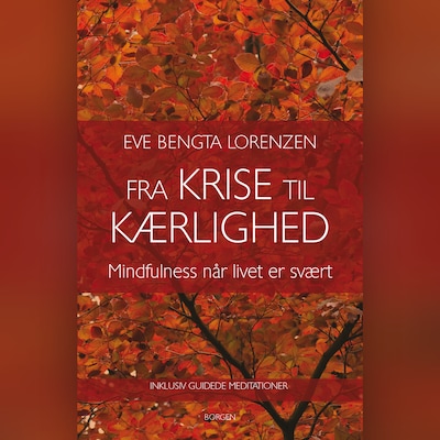 Fra krise til kærlighed – omslag til lydbogen af Eve Bengta Lorenzen