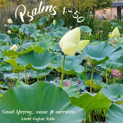 Psalms (1 - 50) – omslag til lydbogen af World English Bible