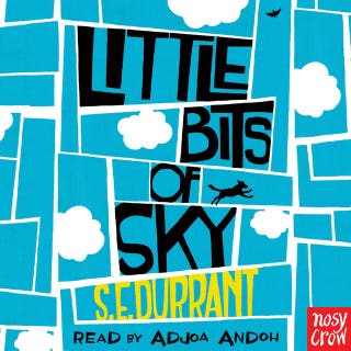 Little Bits of Sky