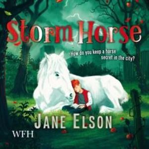 Storm Horse – okładka audiobooka, autor Jane Elson