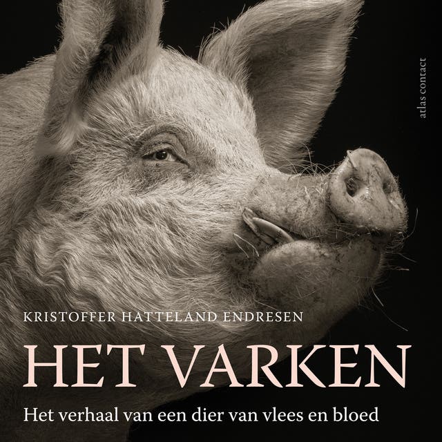 Het varken: het verhaal van een dier van vlees en bloed
