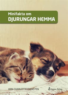 Minifakta om djurungar hemma