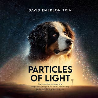 Particles of Light: The misadventures of one bright son of a gun, his smart mouth dog and everything under the sun.