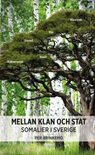 Mellan klan och stat : somalier i Sverige – omslag till ljudboken av Per Brinkemo